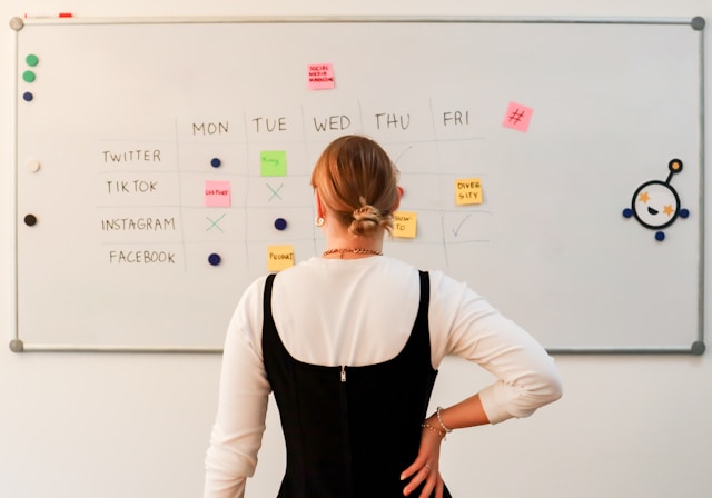 User customizing post formats for various platforms